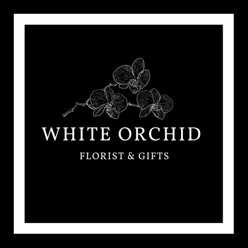 Best Florist Campbellsville KY White Orchid Florist & Gifts