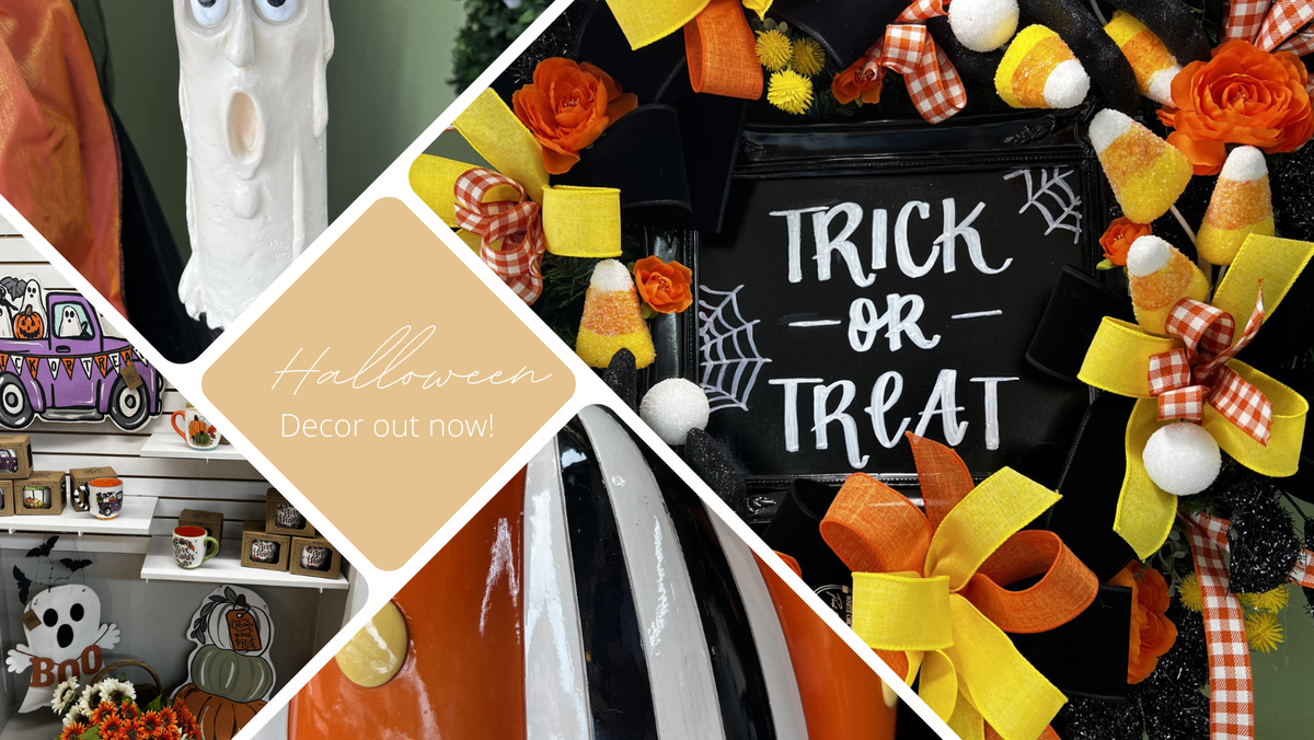 Best Florist Campbellsville KY The White Orchid Florist & Gifts