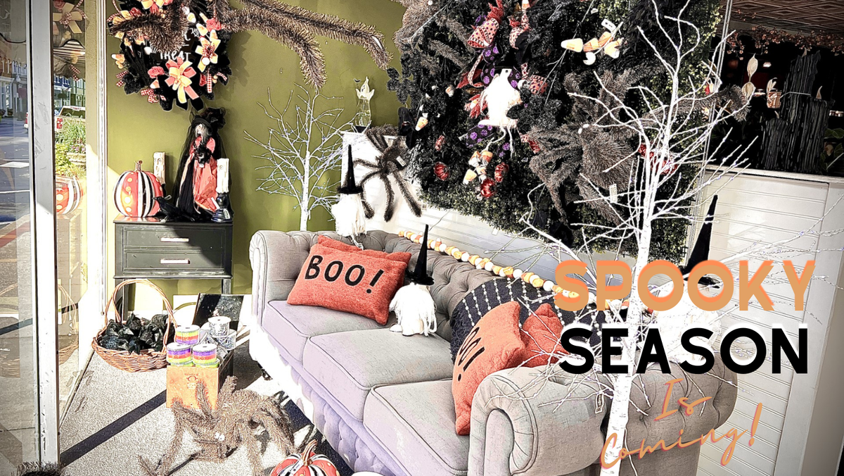 Best Florist Campbellsville KY The White Orchid Florist & Gifts